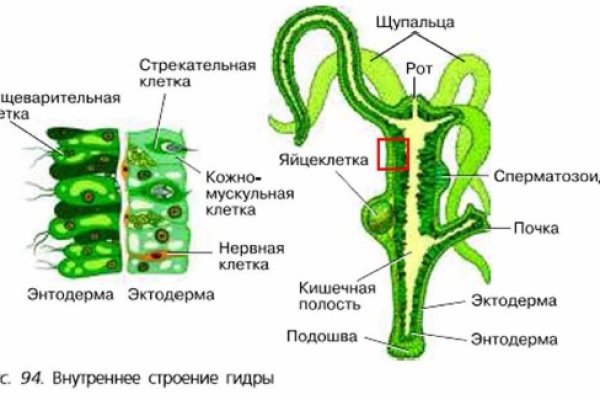 Кракен как зайти на сайт